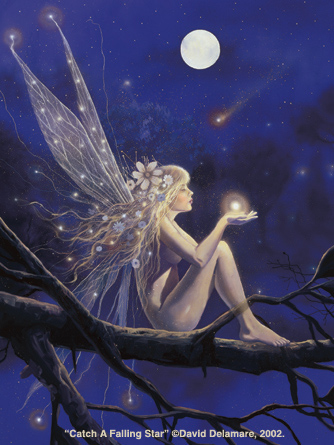 Fairy 31